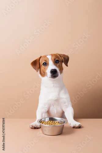 Adorable Jack Russell Terrier dog with dry pet food bowl on pastel background. Dry pet food concept
