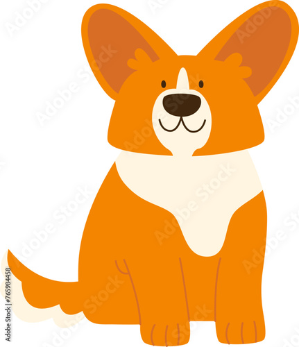 Corgi Dog Sitting