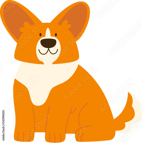 Corgi Dog Sitting