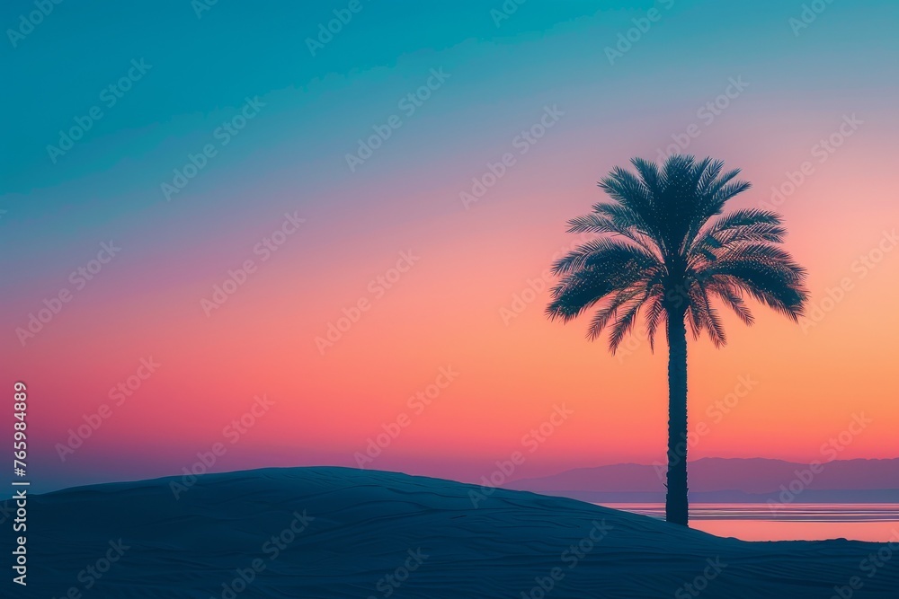 Solitary palm swaying minimalist Solitary palm swaying minimalist