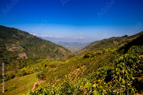 The beautiful Coffee Cultural Landscape of Colombia declared as a World Heritage Site in 2011