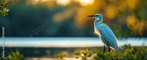 Birdwatching in a magical world, unique avian species, enchanting habitats, a mesmerizing experience