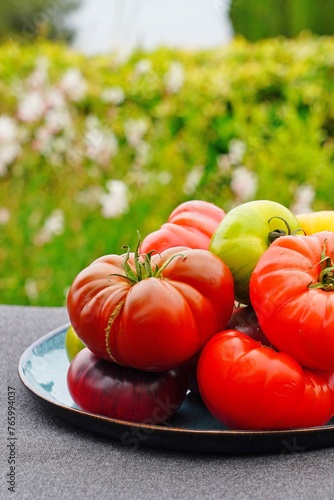 Bowl of colorful heirloom tomatoes in Provence, France © eqroy