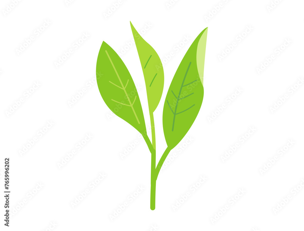お茶の新芽をイメージしたイラスト お茶の新芽をイメージしたイラスト
