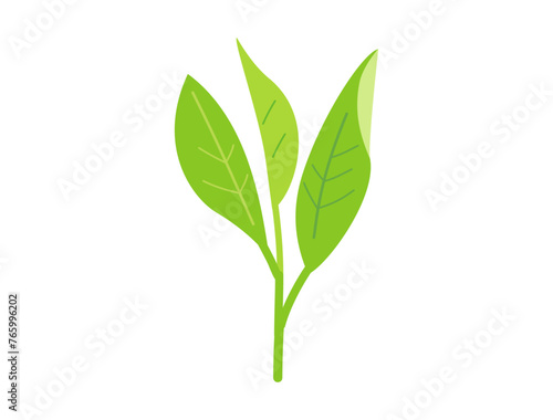 お茶の新芽をイメージしたイラスト