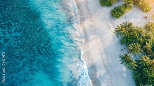 Aerial view of maldives island beach with palm trees, luxury resort, and white sandy shore