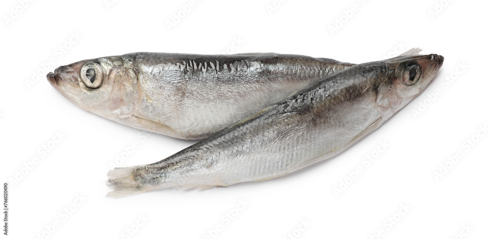 Fresh raw sprats isolated on white, top view Fresh raw sprats isolated on white, top view