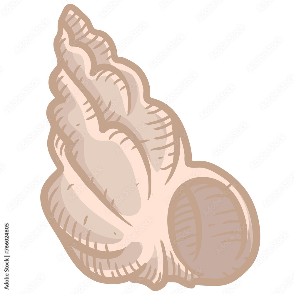 Seashell Vector Illustrations Seashell Vector Illustrations