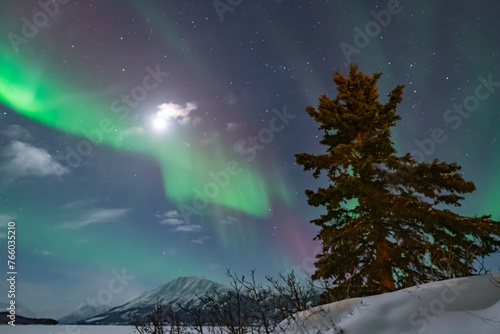 Northern lights aurora seen outside of Whitehorse in Yukon Territory  Canada