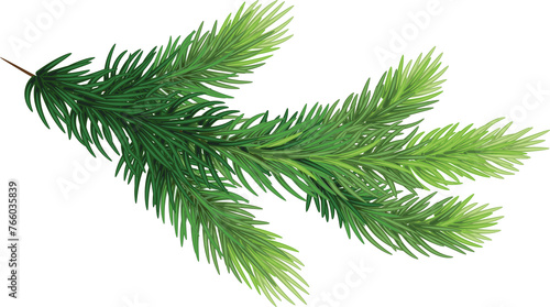 pine branches   hand-drawn style  decorative botanical illustration for design  Christmas plants on transparent  png