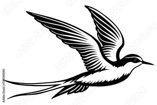 Fototapeta Naklejka Na Ścianę i Meble -  tropicbird silhouette vector illustration