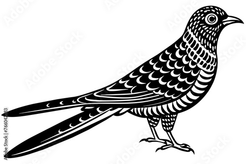 cuckoo silhouette vector illustration