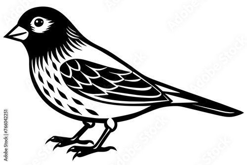 canary silhouette vector illustration