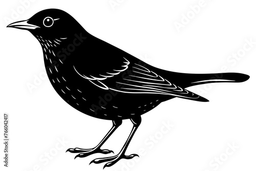 blackbird silhouette vector illustration