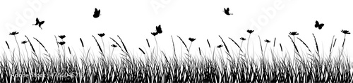 Flowers and grass border, vector illustration, early spring flowers　春の草むらと花とちょうちょのイラスト photo