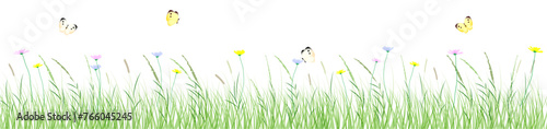 Flowers and grass border, vector illustration, early spring flowers　春の草むらと花とちょうちょのイラスト