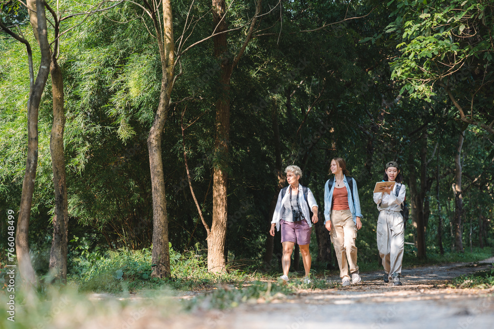woman family walking in the forest to watching a bird in nature, using binocular for birding by looking on a tree, adventure travel activity in outdoor trekking lifestyle, searching wildlife in jungle woman family walking in the forest to watching a bird in nature, using binocular for birding by looking on a tree, adventure travel activity in outdoor trekking lifestyle, searching wildlife in jungle