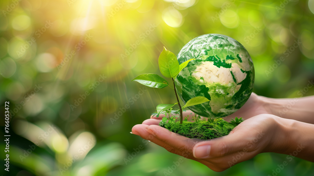 Eco word Eco word