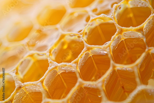 Closeup of honeycomb for background