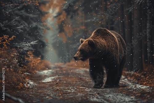 A bear is walking down a road in the woods. The bear is brown and he is walking through the snow. The scene is peaceful and serene, with the bear being the main focus of the image © auttawit