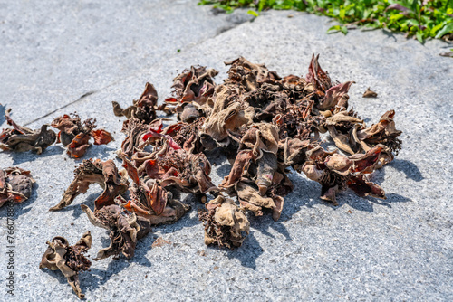 Guangdong Laohuo Soup Ingredients-Dried Kapok