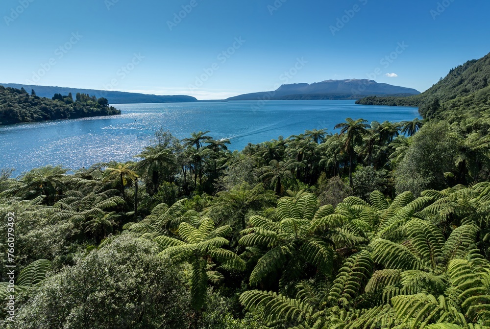 Φωτογραφία Aerial: Forest and calm waters of Lake Tarawera, Rotorua, Bay of Plenty, New Zealand