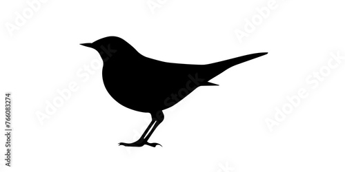 Wallpaper Mural Common blackbird bird isolated over white background. Torontodigital.ca