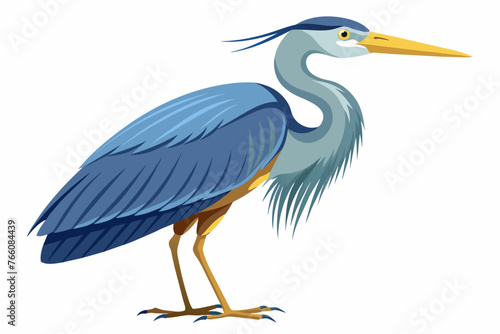 great-blue-heron-white-background.