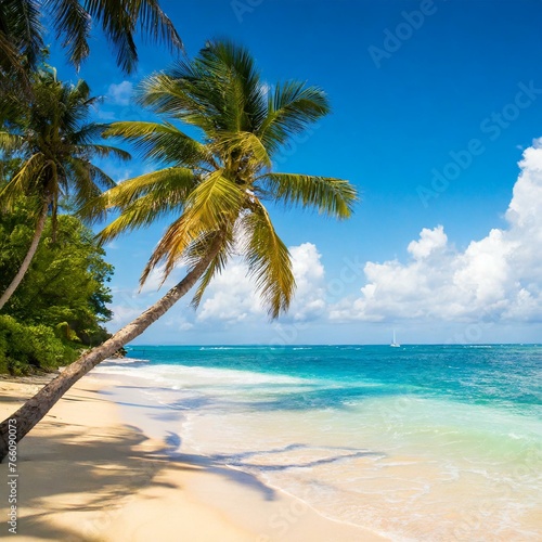美しいヤシの木のビーチ
