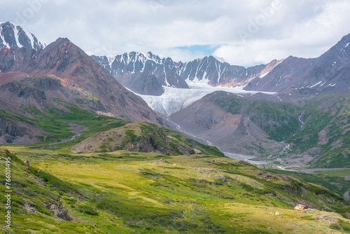 Colorful scenery of wide green alpine valley with view to large snow-capped range, sharp rocky pointy peak, snowy mountain range and big glacier tongue far away under cloudy sky in changeable weather.