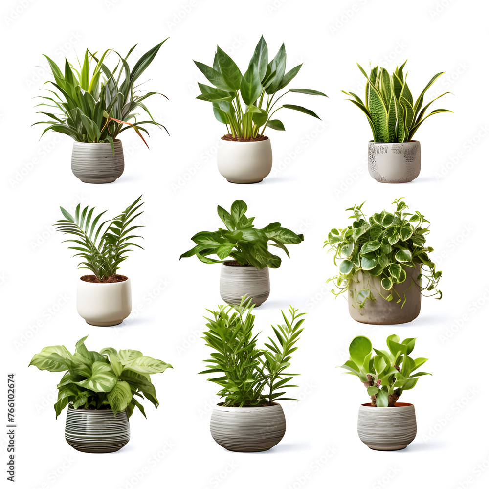 Set of green plant pots With leaves and flowers. Vector. Realistic illustration. lonely shadow on a white background Set of green plant pots With leaves and flowers. Vector. Realistic illustration. lonely shadow on a white background