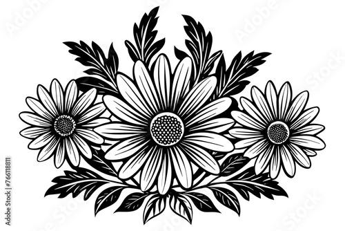 black and white chrysanthemum