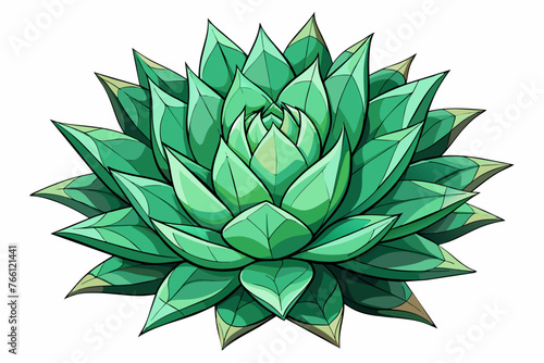 Haworthia cooperi flower full body vector art illustration