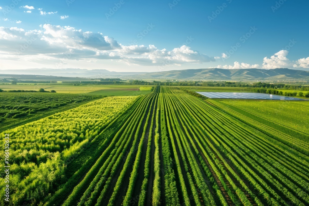 Sustainable Agriculture: Solar Panels and Irrigation in Green Farmland