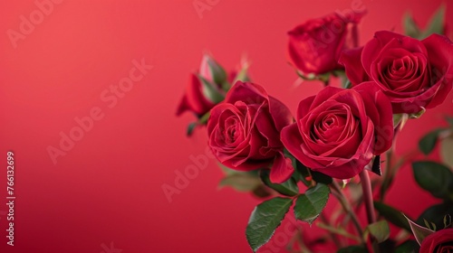 Red Roses against a solid red background  generative AI