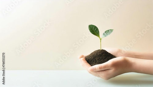 新芽　若葉　葉　植物　手　持つ　ガーデニング　ビジネス　イメージ　コピースペース　背景　壁紙 photo