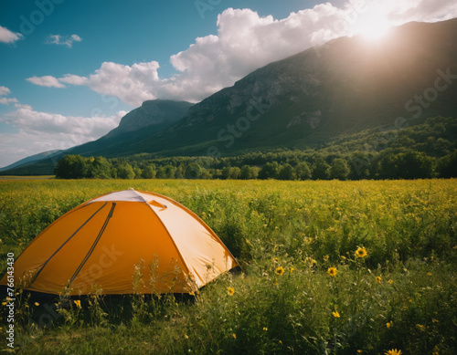 Orange Camping Tent in Yellow Wildflower Field by Mountains
