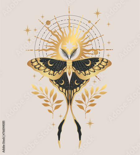 Billede på lærred Vector illustration with golden butterfly