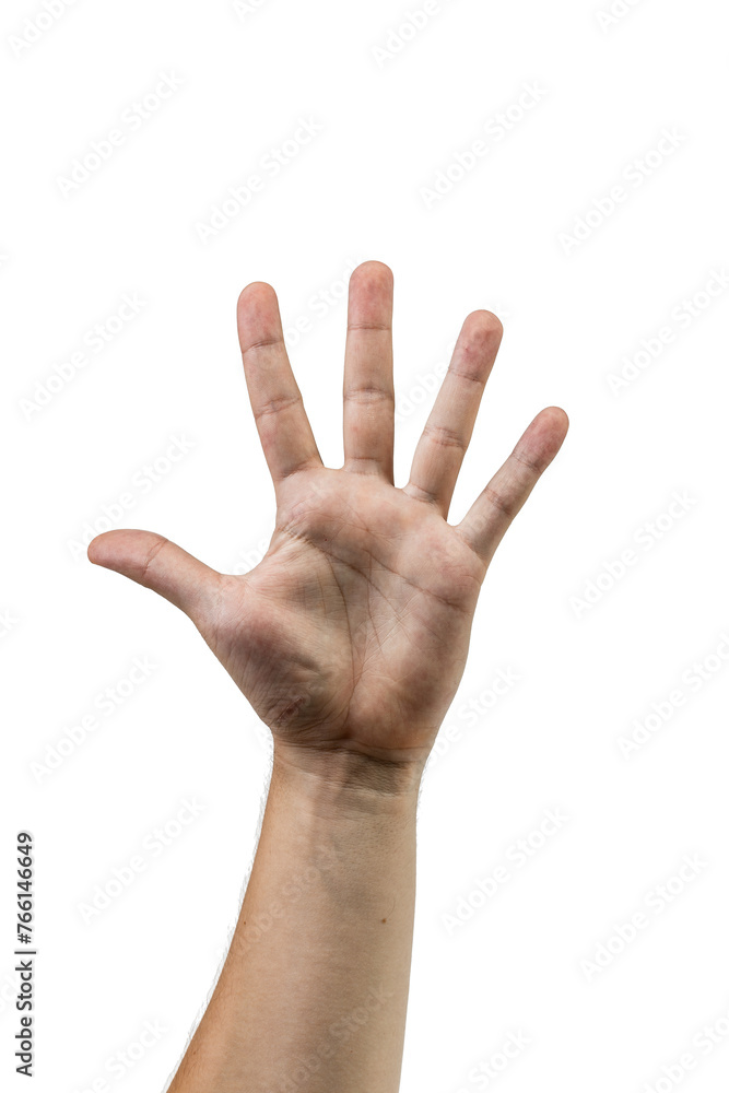 A man's hand raised up shows the number five. A man's hand raised up shows the number five.