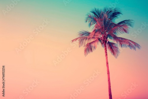 A palm tree stands tall against a vibrant pink and blue sky in the background  underlining the tropical atmosphere of the scene