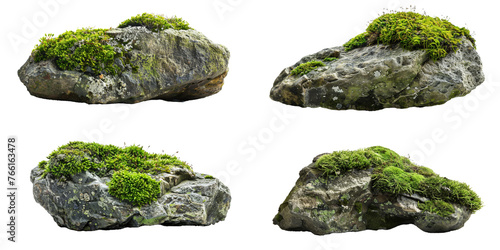 moss covered rocks set
