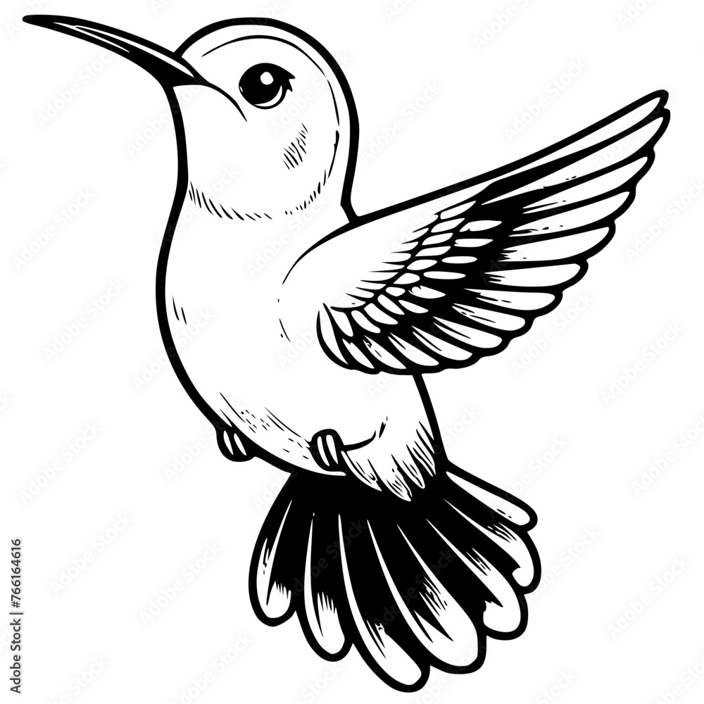 Hummingbird Bird Family Nest, Bird nest, Baby Hummingbird, Hummingbird