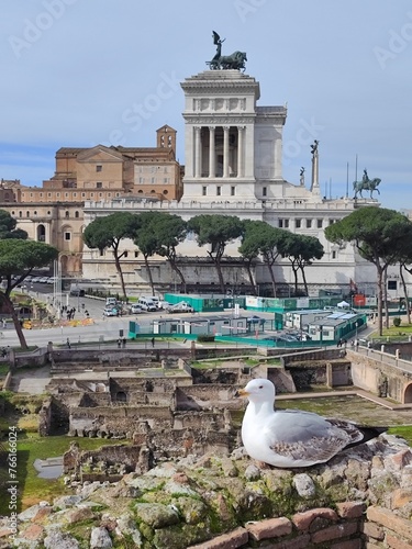 Canvas Print Rome Italy
