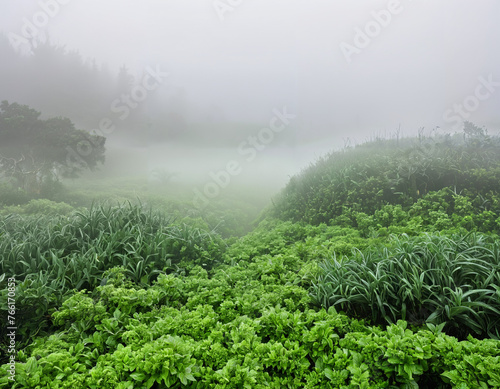 A dense fog enveloping the landscape in an eerie embrace