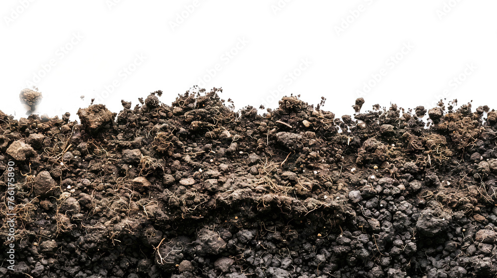 pile of dirt - potting soil isolated on transparent background - obrazy, fototapety, plakaty 