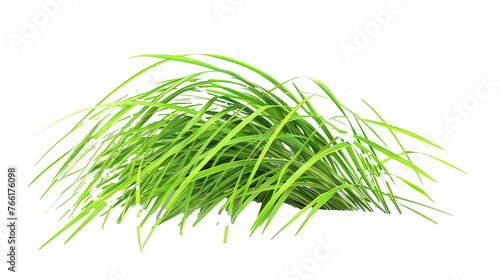 Tuft of bright green grass against transparent background