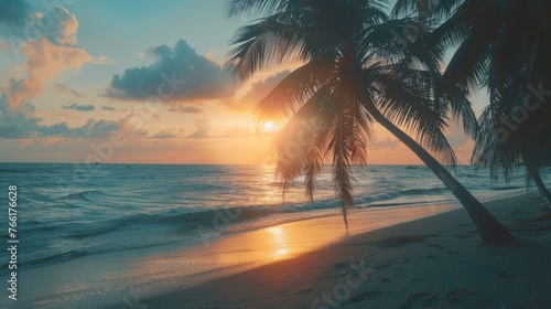 Palm trees silhouetted against tropical sunset.