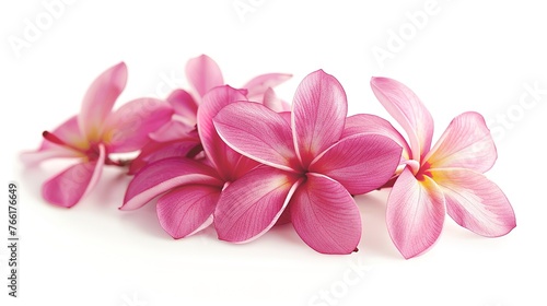 Group of Pink Frangipani Isolated on White Generative ai  