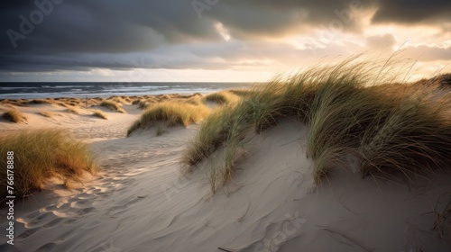 Dunes and beach. North sea