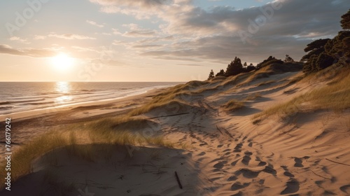 The sand dunes or dyke at Dutch north sea coastline with european marram grass (beach grass) with soft golden sunlight in the evening before the sunset photo